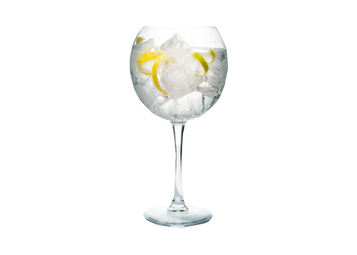 imagen de gin tonic